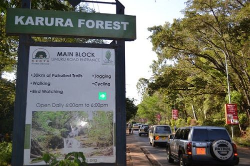 Kenya Nairobi Karura Forest Karura Forest Kenya - Nairobi - Kenya