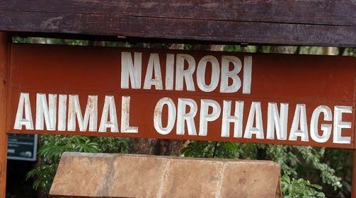 Kenya Nairobi Nairobi Animal Orphanage Nairobi Animal Orphanage Kenya - Nairobi - Kenya