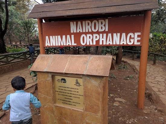 Kenya Nairobi Nairobi Animal Orphanage Nairobi Animal Orphanage Nairobi - Nairobi - Kenya