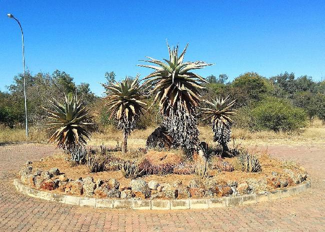 Botswana Gaborone  National Botanical Garden National Botanical Garden Gaborone - Gaborone  - Botswana