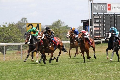 Kenya Nairobi Ngong Racecourse Ngong Racecourse Nairobi - Nairobi - Kenya
