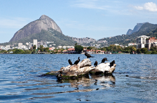 Brazil Rio De Janeiro Rodrigo de Freitas Lagoon Rodrigo de Freitas Lagoon Brazil - Rio De Janeiro - Brazil
