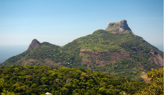 Brazil Rio De Janeiro Tijuca National Park Tijuca National Park Rio De Janeiro - Rio De Janeiro - Brazil