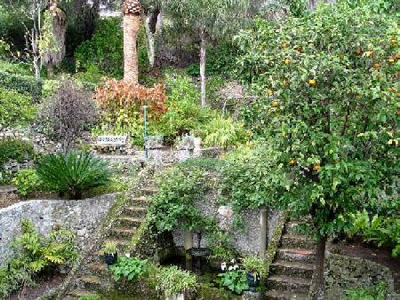 Gibraltar Botanic Gardens