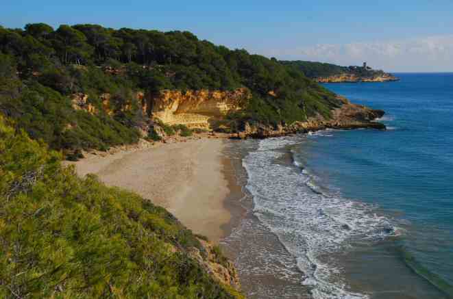 Spain  Cala Fonda Beach Cala Fonda Beach Girona -  - Spain