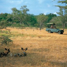 Tanzania Morogoro  Selous Game  Reserve Selous Game  Reserve Morogoro - Morogoro  - Tanzania