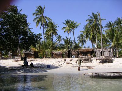 Tanzania  Mafia  Island Mafia  Island Pwani -  - Tanzania