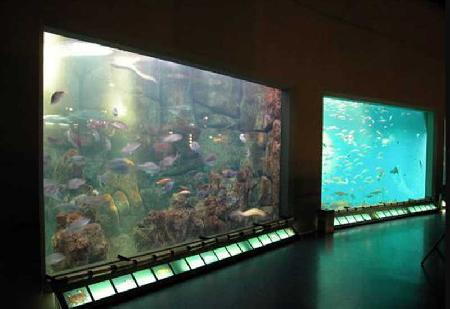 Finisterrae Aquarium