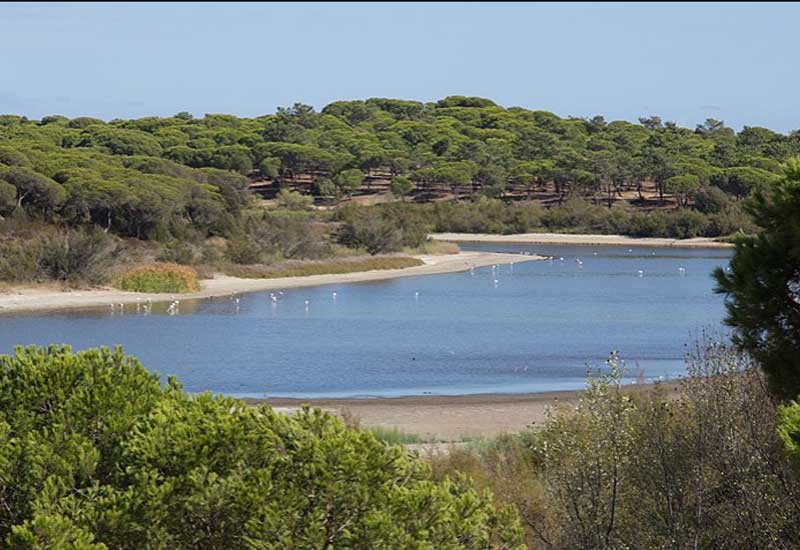 Spain Huelva el Portil Lagoon el Portil Lagoon Andalusia - Huelva - Spain