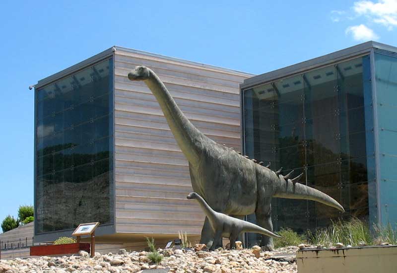 Spain Elche Paleonthological Museum Paleonthological Museum Elche - Elche - Spain