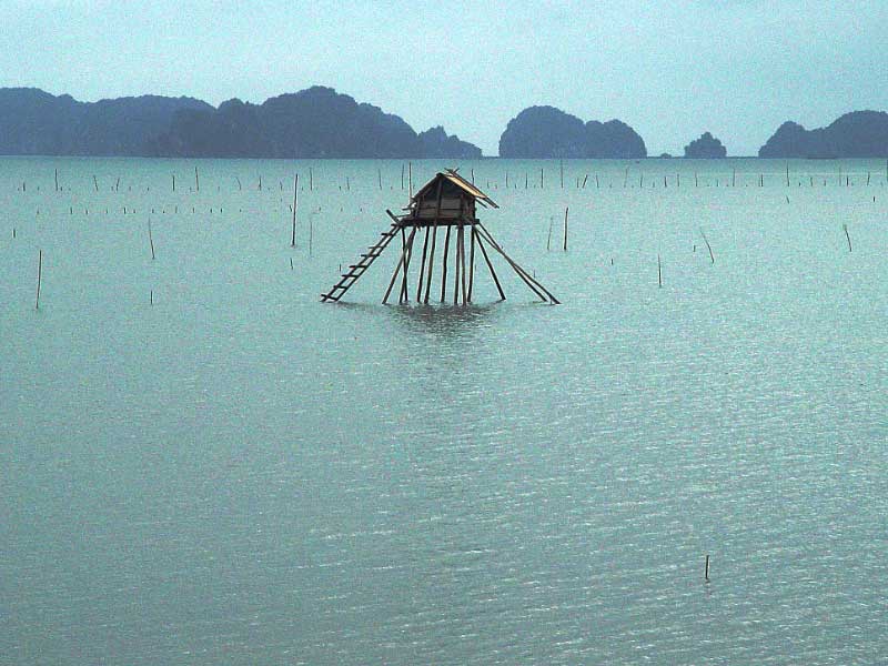 Vietnam  Ha Long Bay Ha Long Bay Ha Long Bay -  - Vietnam