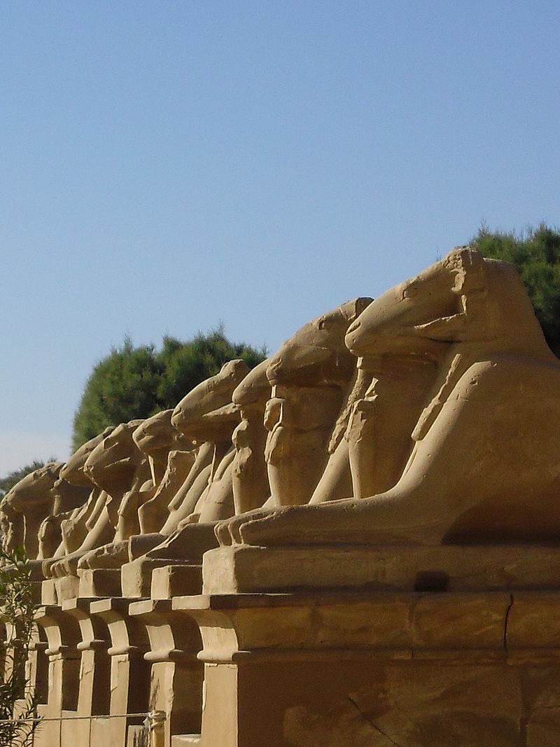 Egypt Luxor Avenue of Sphinxes Avenue of Sphinxes Luxor - Luxor - Egypt