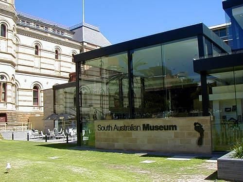 Australia Adelaide South Australian Museum South Australian Museum Adelaide - Adelaide - Australia