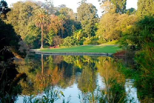 Australia Melbourne Royal Botanical Garden Royal Botanical Garden Victoria - Melbourne - Australia