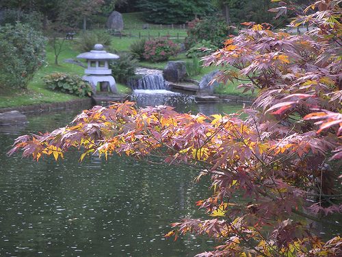 Belgium Hasselt Japanese Garden Japanese Garden Hasselt - Hasselt - Belgium