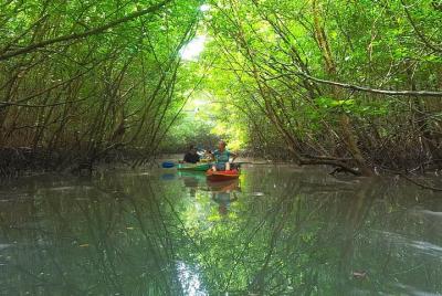 Khao Lak Mangrove Explorers Khao Lak Mangrove Explorers