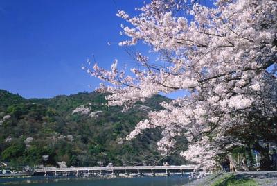 Day Trip by Bus to Kyoto from Osaka/Kyoto Day Trip by Bus to Kyoto from Osaka/Kyoto