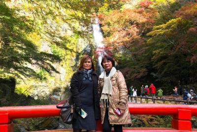 Nature Walk at Minoo Park, the Best Nature and Waterfall in Osaka Nature Walk at Minoo Park, the Best Nature and Waterfall in Osaka