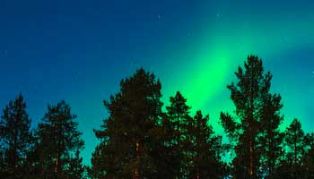 دليل مطاعم روفانيمي أين تأكل فى روفانيمي