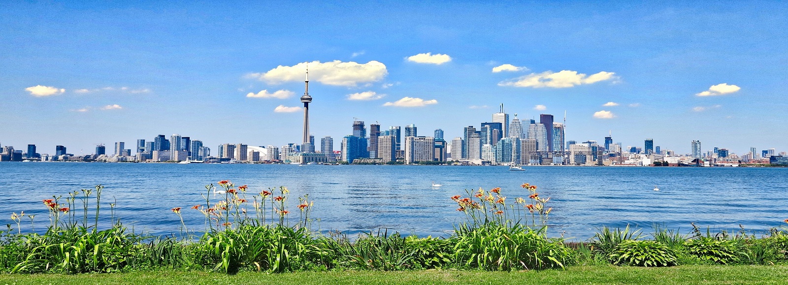 Transfer Offers in Toronto. Low Cost Transfers in  Toronto 