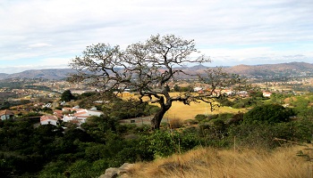 Restaurants in Mbabane  Where to eat in Mbabane  Restaurants in Mbabane  Where to eat in Mbabane