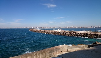 Restaurants in Alexandria Where to eat in Alexandria Restaurants in Alexandria Where to eat in Alexandria