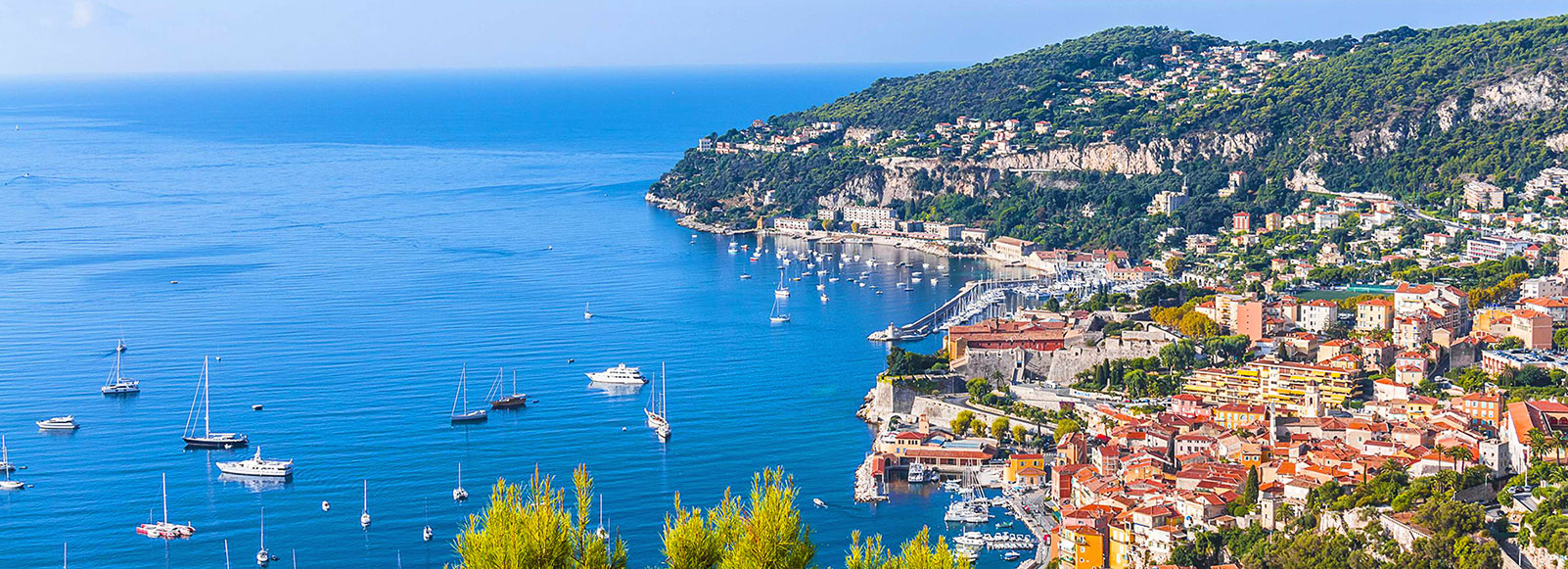 أين تأكل فى أنجير | دليل مطاعم  أنجير أين تأكل فى أنجير | دليل مطاعم  أنجير