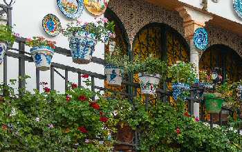 Restaurants in Granada Where to eat in Granada Restaurants in Granada Where to eat in Granada