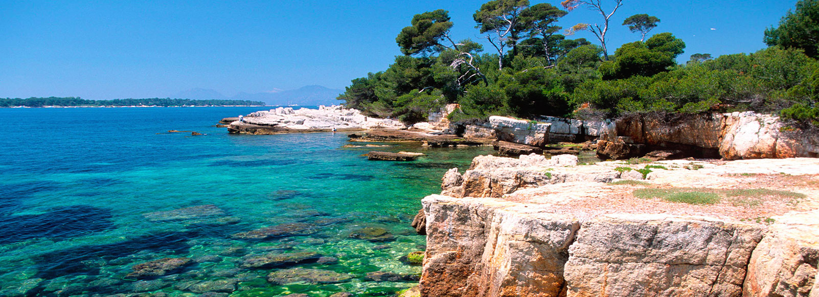 Where to eat in Antibes | Restaurants in  Antibes