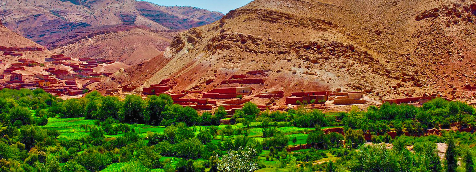 أين تأكل فى الصويرة | دليل مطاعم  الصويرة أين تأكل فى الصويرة | دليل مطاعم  الصويرة