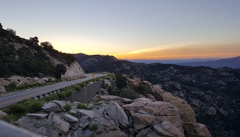 Restaurants in Tucson  Where to eat in Tucson  Restaurants in Tucson  Where to eat in Tucson