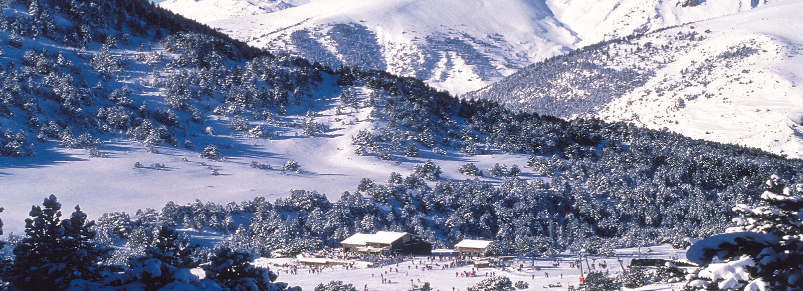 خريطه سولديو