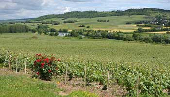 Marne-la-Vallée