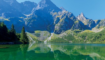 دليل مطاعم زاكوبان  أين تأكل فى زاكوبان 