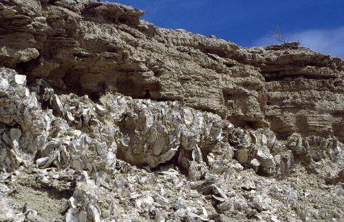 Argentina Gaiman Bryn Gwyn Paleontological Park Bryn Gwyn Paleontological Park Chubut - Gaiman - Argentina