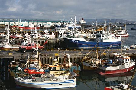Hofudborgarsvaedi