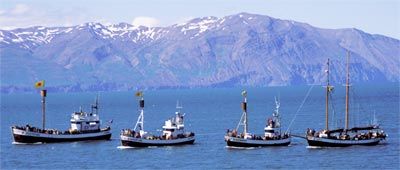 Husavik