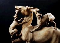 Campania