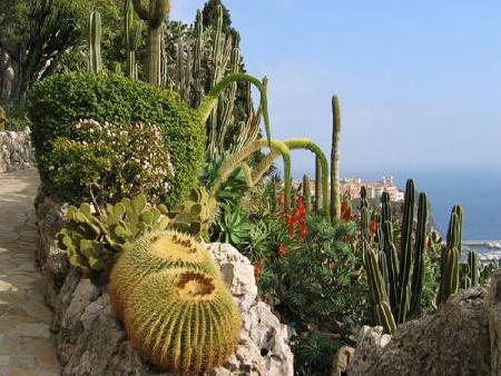 Hotels near Exotique -Jardin Tropical Garden  Monaco