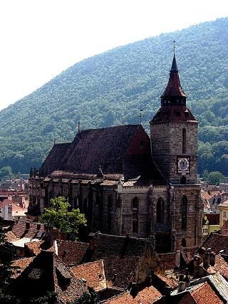  سلتر 