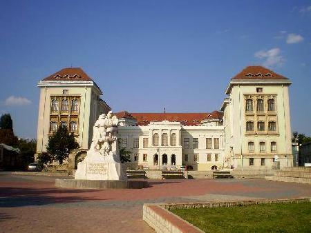 The University