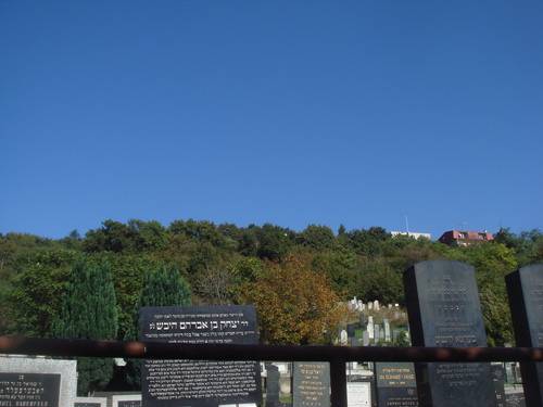 Slovakia Bratislava  Jewish Cemetry Jewish Cemetry Slovakia - Bratislava  - Slovakia