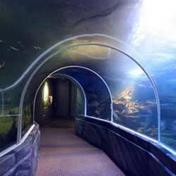 Hotels near Taraporewala Aquarium  Mumbai