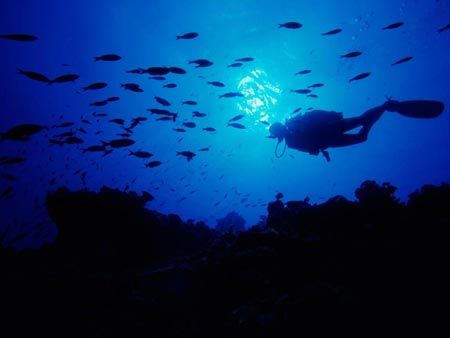 Hotels near Hesperides Diving Club  Cartagena