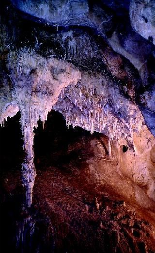 Cueva del Puerto