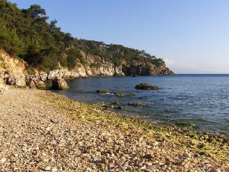 جزر برينسيس`