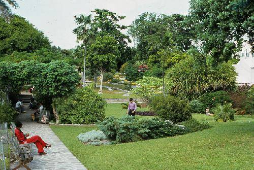 Bermuda Hamilton  Jardines Botanicos Jardines Botanicos Bermuda - Hamilton  - Bermuda