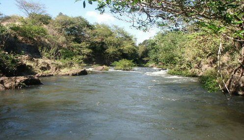 Costa Rica  Corobici River Corobici River Central America -  - Costa Rica