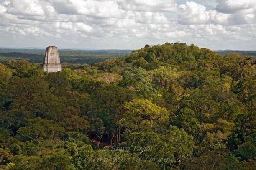 Guatemala Tikal National Park 3rd Temple 3rd Temple Central America - Tikal National Park - Guatemala