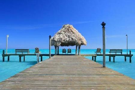 Cayo 